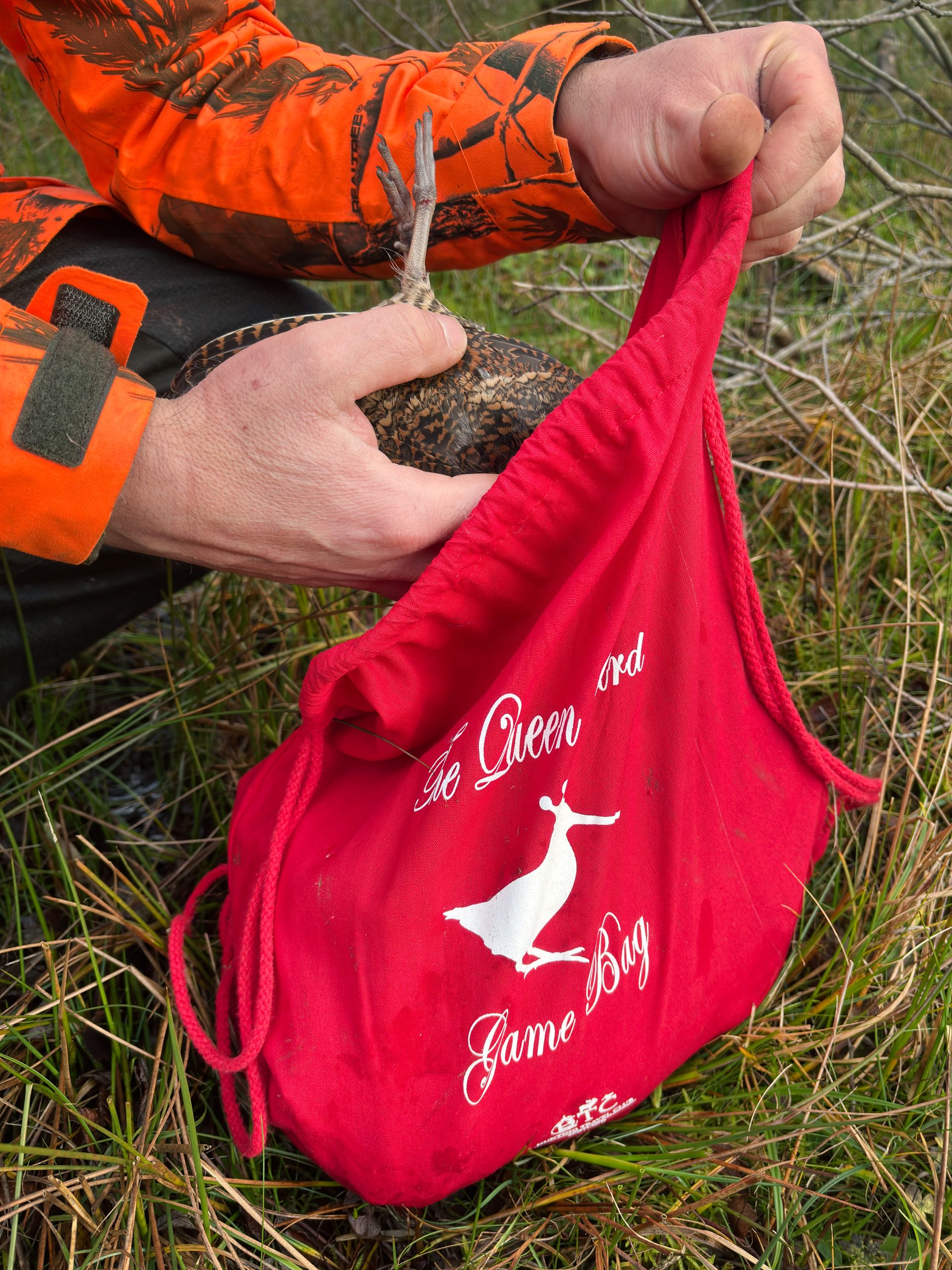 game bag - The Queen Bird - Image 4