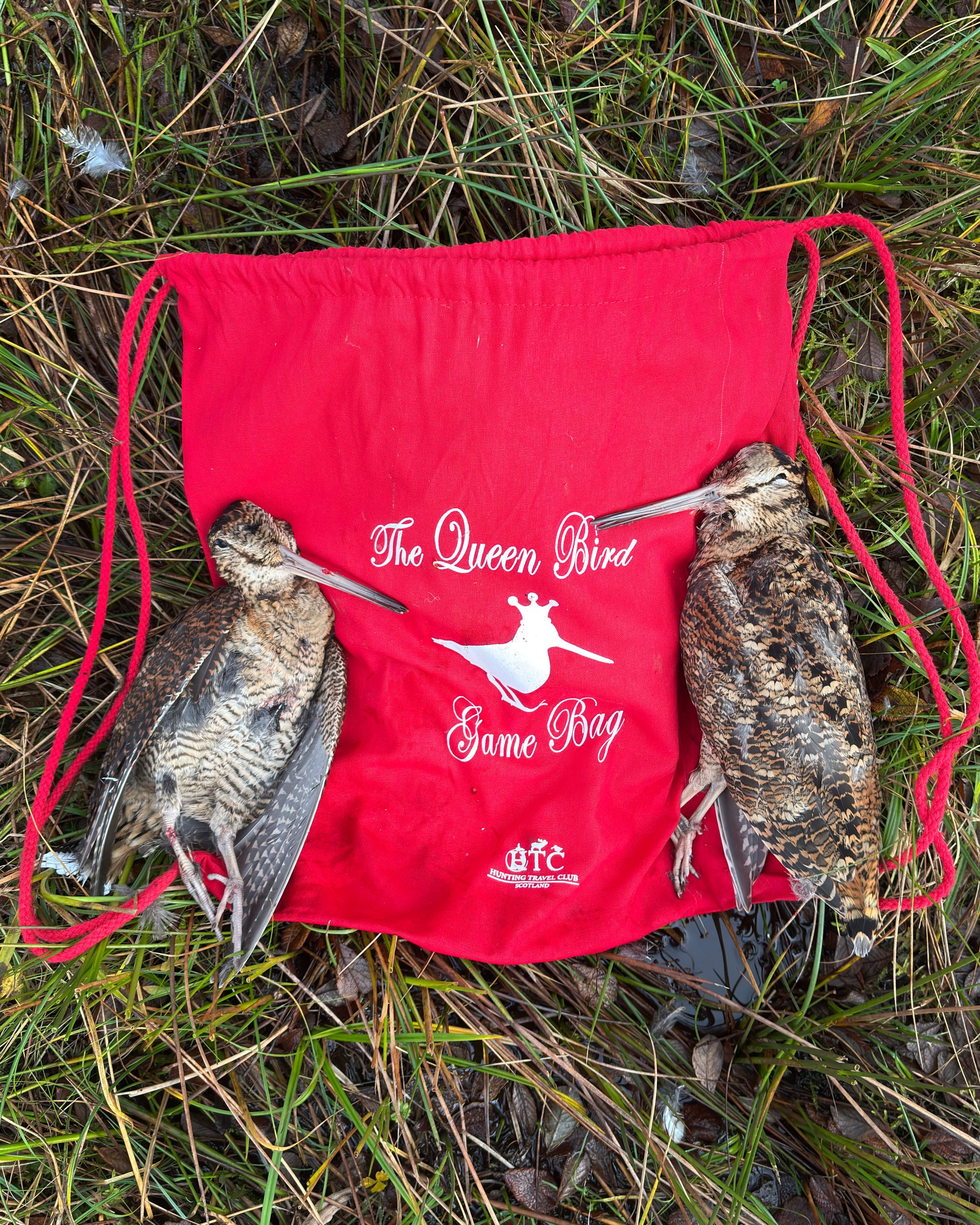 game bag - The Queen Bird - Image 5